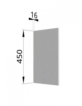 Панель торцевая (для шкафа горизонтального высокого) ВПГ Ройс (Графит софт) в Курагино - kuragino.mebel54.com | фото